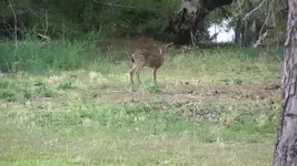 100_4563.webp