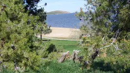 100_3981.webp