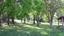 100_3984.webp