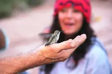 Hummer on his hand.webp