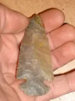 DSC00711.webp