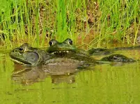 DSCN8425.webp