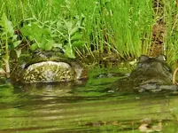 DSCN8430.webp