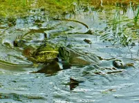 DSCN8442.webp