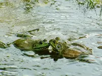 DSCN8445.webp