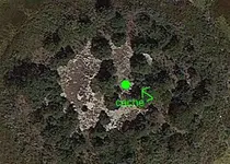 Picnic Grove - Field (Large).webp