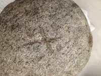 Stone 2.webp