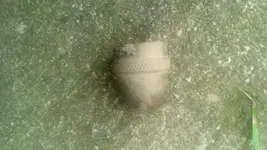 IMG_20140719_150831_326.webp