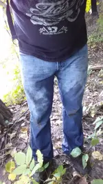 wet.webp