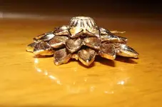 DSCF1343.webp