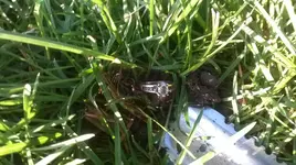 WP_20140713_001.webp WP_20140713_001.webp