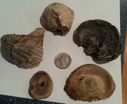 20140614_172012.webp 20140614_172012.webp
