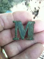 M regt ltr.webp