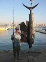 fish on scale.webp