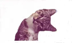 h3491E4FD.webp