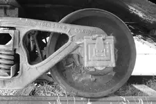 solidbearing.webp