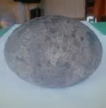 D.s egg.webp