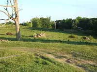 DSCF3512.webp
