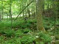 image-559057475.webp