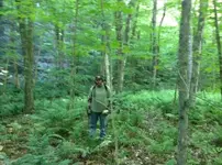 image-3320358410.webp