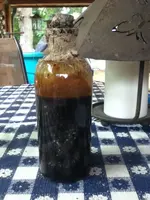 image-4054925077.webp