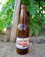 beer bottle 1.webp
