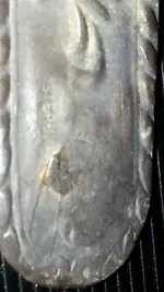 CM140607-11582001.webp