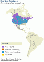 cocc_vesp_AllAm_map.gif