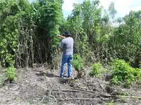 0220131310.webp 0220131310.webp