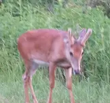 2014-07-13 13.19.13.webp