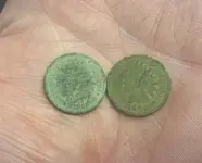indian head cents.webp