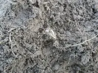 100_2524.webp