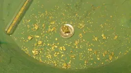 Gold-A.webp