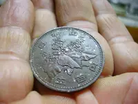 PICT2484.webp PICT2484.webp