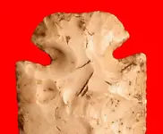 dove3.webp