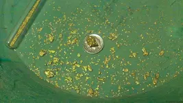 Gold-A-2.webp