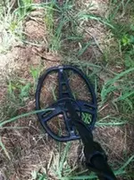 snake.webp