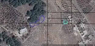 الحرشة%201.webp