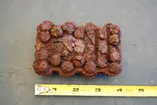 pic_1.webp