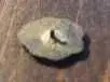 pin b.webp