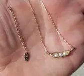 DSCN3733.webp