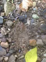 image-700373117.webp