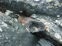 copper.webp