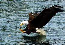 Picture 164.webp