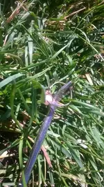 WP_20140720_001.webp