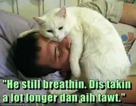 stillbreathing.webp