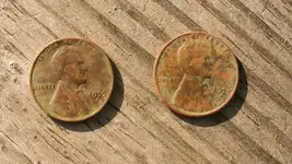 Wheats01.webp Wheats01.webp