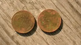 Wheats02.webp Wheats02.webp