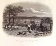 1854.webp