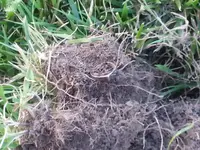 20140619_185820.webp